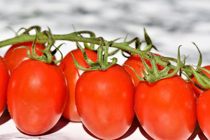 Plant-based Cuisine
